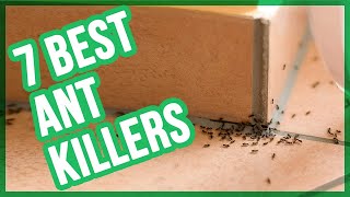 Best Ant Killers (Top 7 Ant Baits)