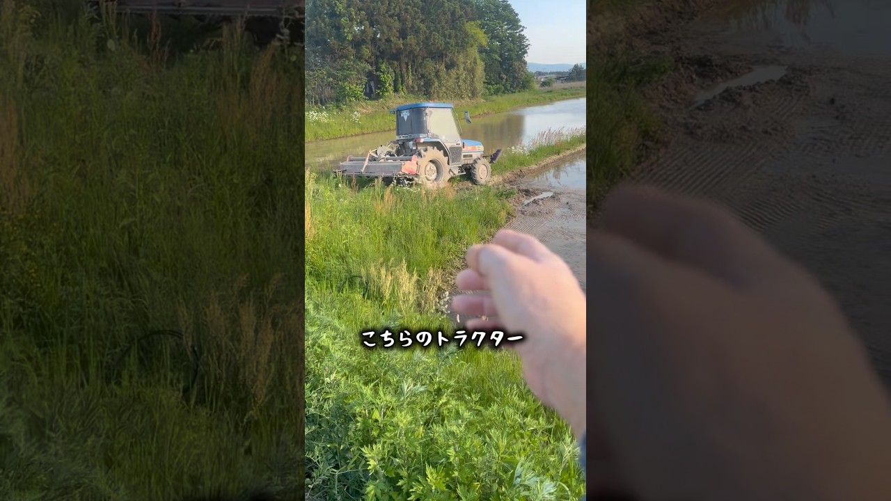 こちらのトラクター#shorts #農業 #佐渡 #農家 #米作り #仕事 #作業 #5月 #田んぼ #田舎 #田植え #田植え機 #トラクター #お米 #米 #コメ #トラブル #故障 #修理