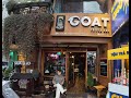 GOAT Coffee Bar: Cozy Cafe Quest presents - by @Global-Redd #vietnam #dalat #vietnamtravel #cafe