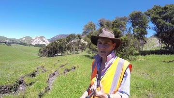 M7.8 Kaikoura Earthquake - damage to fences