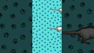 Video para #gatos - #ratones