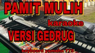 pamit mulih gedrug koplo karaoke