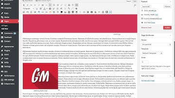 Image Alignment using WordPress Editor & Media Manager