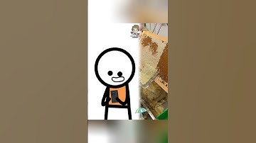 Type your answers in the comments section. Thanks for watching.