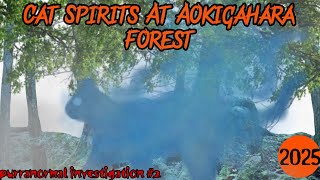 The Cat Spirits of Aokigahara Forest - Purranormal Investigation #2 (2025)