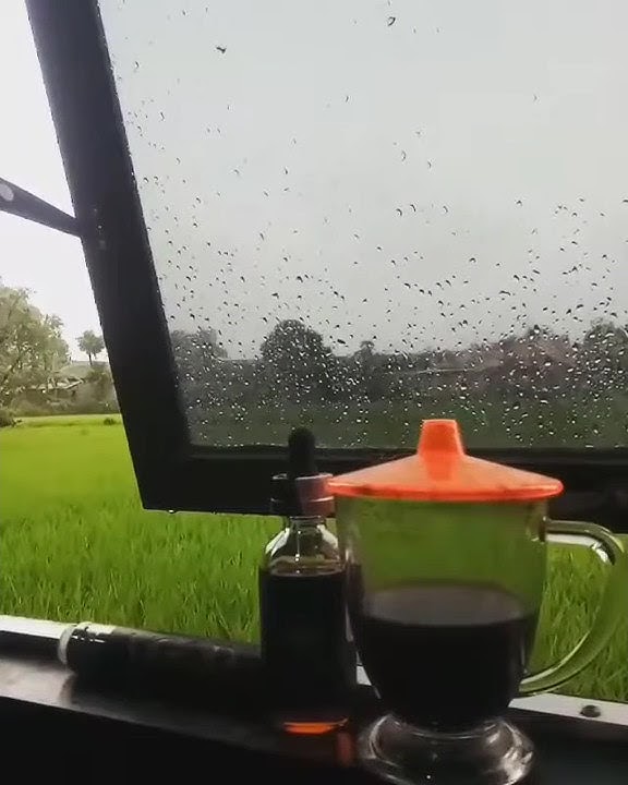 Story WA Kopi Kowe Milih Lungo