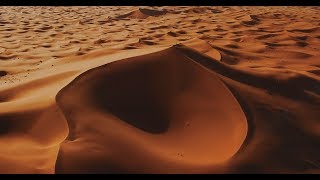 Alive Merzouga 4K