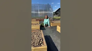Дорожки в огороде без грязи и сорняков 🔥