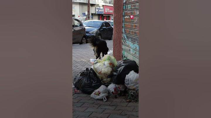 مشاهد لانتشار القمامة في شوارع بيروت تزامنا مع التصعيد بين إسرائيل وحزب الله