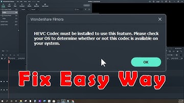 HEVC code error in Filmora X, Filmora 9