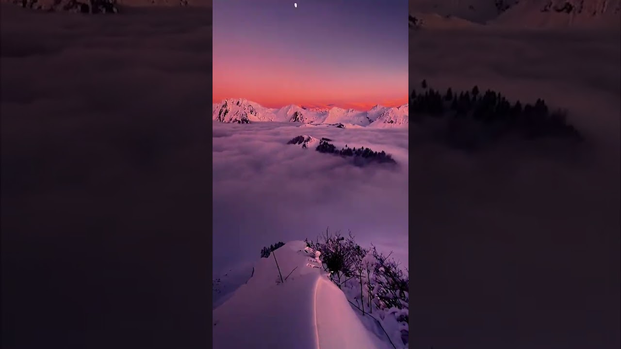 From Scotland's History to Miami's Vibrant Cityscape: A Journey to Remember🌍✨ 