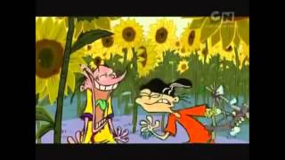 Top 10 Cartoons