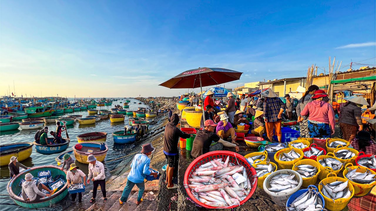 Mùa Mực Nháy, Cá Thu Ảo Cảng Liên Hương | No Nê Đặc Sản Bánh CĂN Chỉ 20.000₫