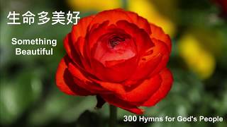 B300 生命多美好 SOMETHING BEAUTIFUL
