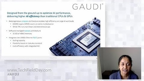 Affordable Deep Learning Training with Intel Habana Gaudi