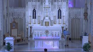 Holy Mass, 5th Sunday in Ordinary Time (2/8/2026) - The Cathedral of Saint Peter in Kansas City, KS