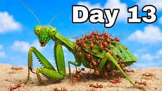 100 Venomous Ants Vs Deadly Prey 30 Days Of Colony War