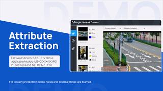 Milesight Demo | Attribute Extraction