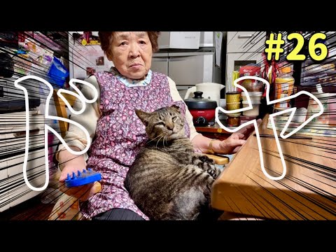 猫キヨ Kiyo and Grandmother] The two of them put on a smug face whenever