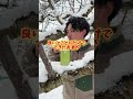 果物を超える、大人気のハードサイダー知ってる？ #果物 #農家 #農業 #お酒