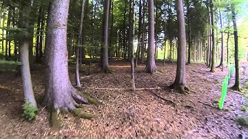 Crow: ImmersionRC Vortex FPV Forest Meditation