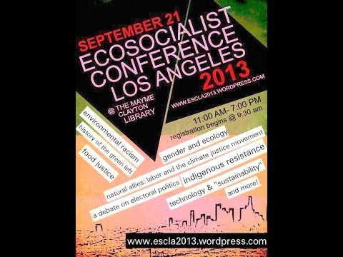 ECOSOC2013 - Environmental