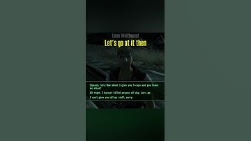Nice Try, Mel | FALLOUT 3