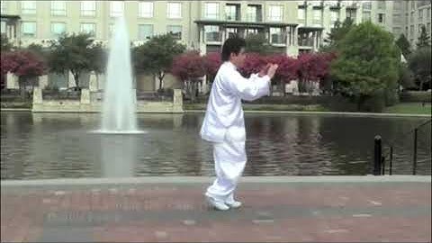 WU HAO Taiji 13 Step