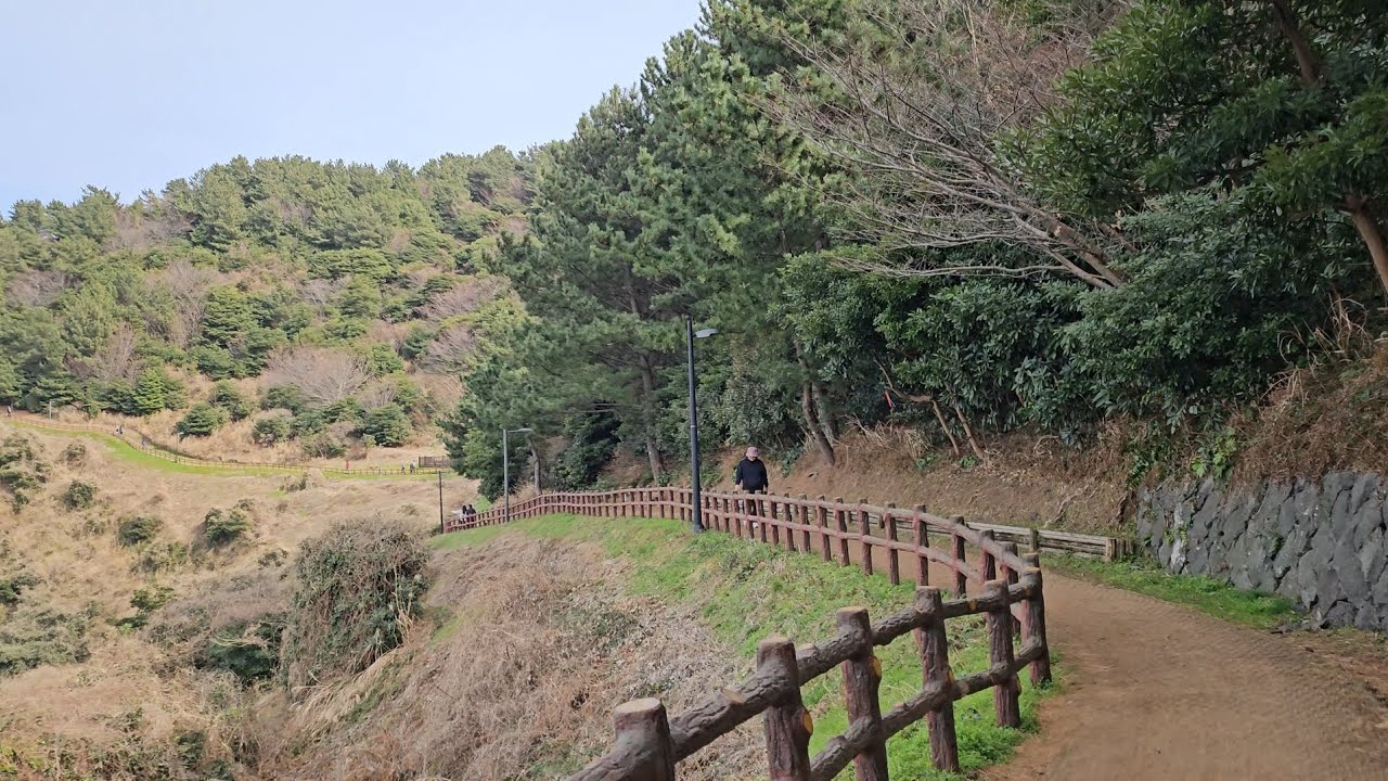 [4K] Walking Tour in Jeju, Korea 🇰🇷 | Volcanic Hill (Oreum) Nature Walk (No Talking, Natural Sounds)