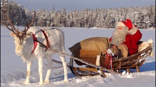 Weihnachten In Pello Rentierland Des Weihnachtsmanns In Lappland Finnland - Polarkreis