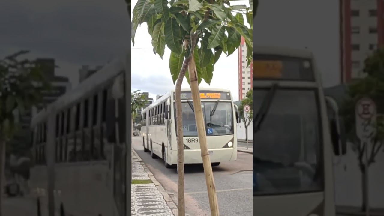 Caio Millennium II Mercedes-Benz O500MA