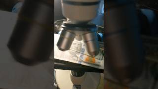 Famous $100 Dollar Bill under Microscope🔬 👁️ #science #money Profile