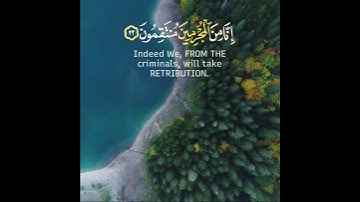 اروع تلاوة القران الكريم ب صوت القارئ طارق محمد سورة السجدة آجمل حالات واتس اب قرآنيه