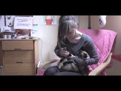 Videó: Macska Szeretet: Természet Vagy ápolás?