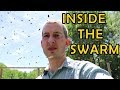 Man stands in the middle of a SWARM of bees