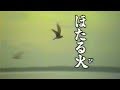 ほたる火