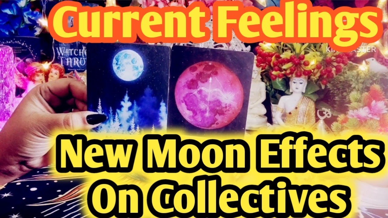 New Moon 🌙 Effect On Collectives 💖 Current Feelings Next Action 💥 All ...