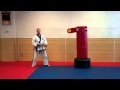 Warren Levi Karate- Spinning Roundhouse Kick (instructional)