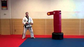 Warren Levi Karate- Spinning Roundhouse Kick (instructional)