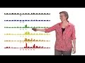 Rachel Green (Johns Hopkins U., HHMI) 2: Protein synthesis: mRNA surveillance by the ribosome