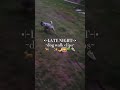 #slay #preppy #latenight #sunset #dogwalk #pug #dogs #blowup #fypシ゚viral #4urpage
