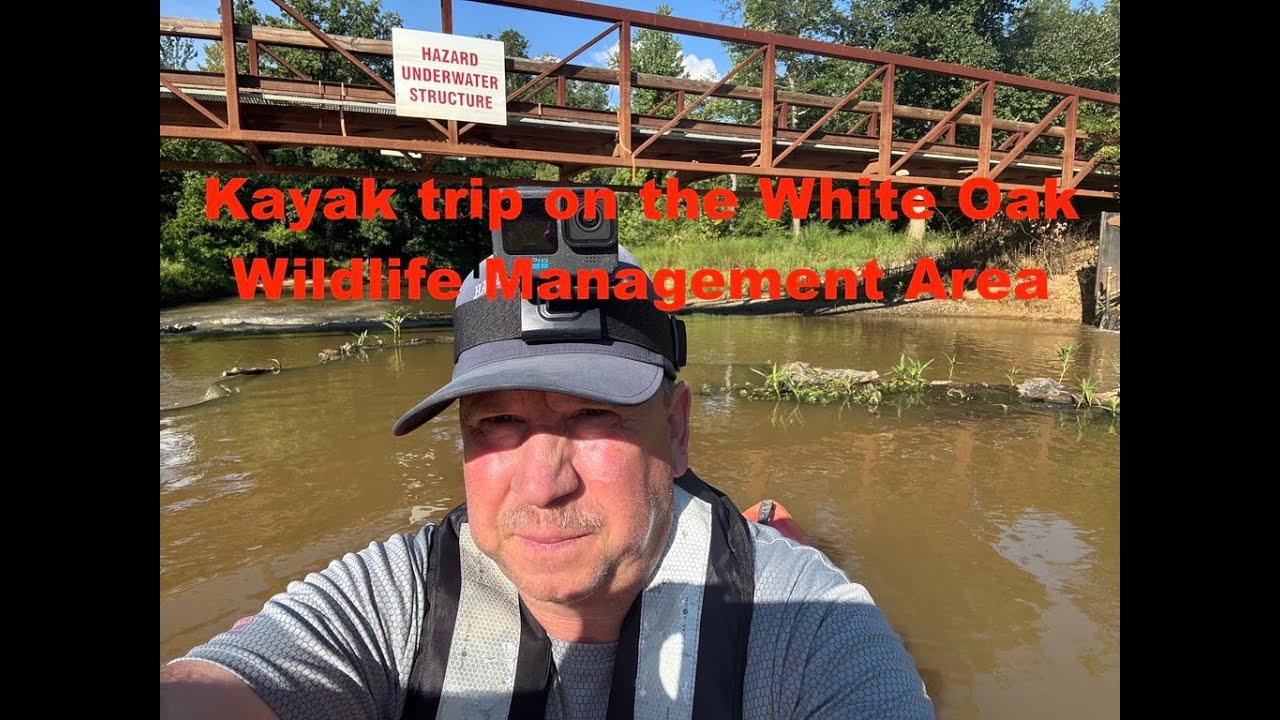 Into the Swamp, Kayaking in the white oak WMA