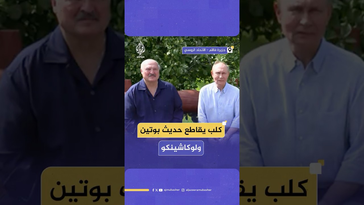 في مشهد طريف.. كلب يقاطع حديث الرئيسين الروسي والبيلاروسي خلال إحاطة إعلامية