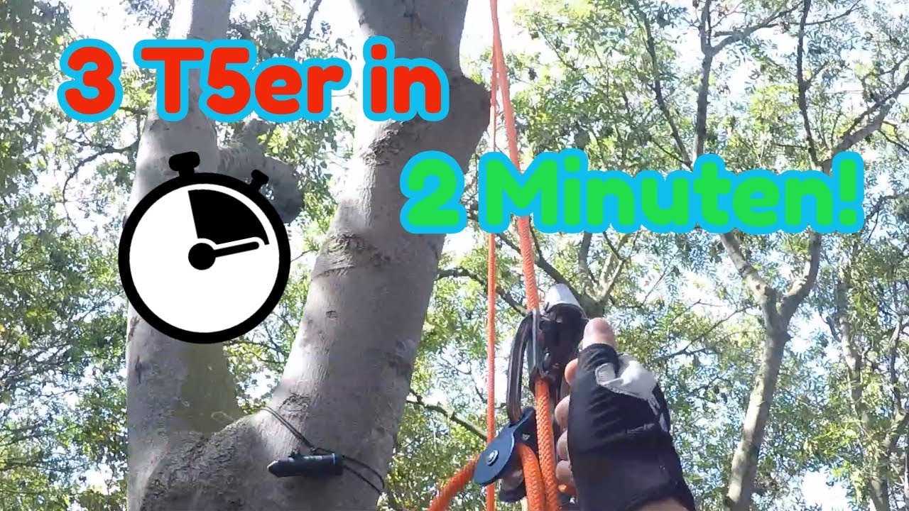 3 T5er in 2 Minuten!