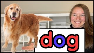 Middle Sounds Preschool Reading Readiness Simple Phonics Activities