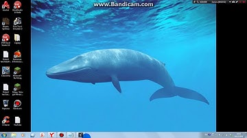 Создание операционной системы в PHP Devel Studio 2010 #1