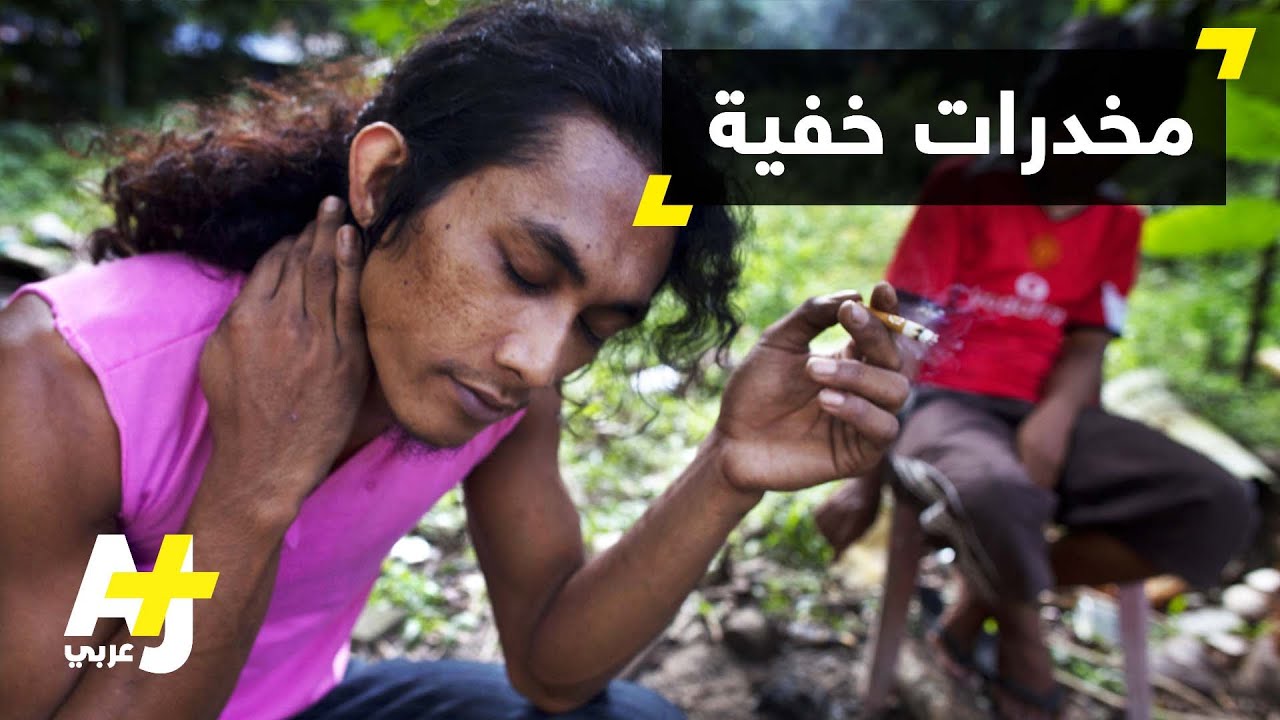 تقرير الأمم المتحدة للمخدرات 2016