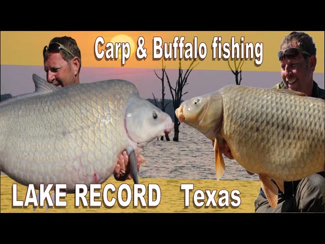 RECORD BREAKING 40+ carp & Buffalo to 63lb+ fishing in Texas USA