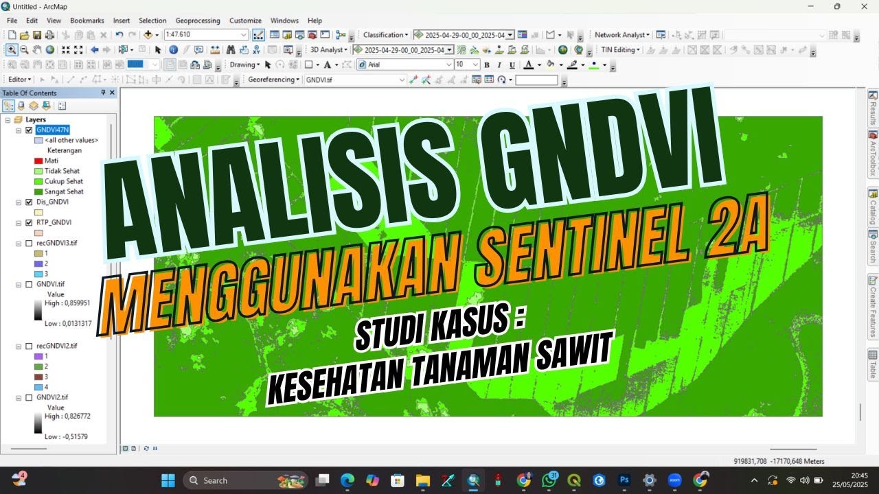 Analisis GNDVI Menggunakan Citra Sentinel 2A - YouTube