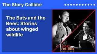 The Bats and the Bees: Stories about winged wildlife | The Story Collider